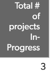 Example field titled: Total # of projects In-Progress. Example value returned: 3